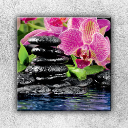 Foto na plátno Kameny s květinou 1 70x70 cm