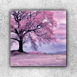 Foto na plátno Růžový strom 3 70x70 cm