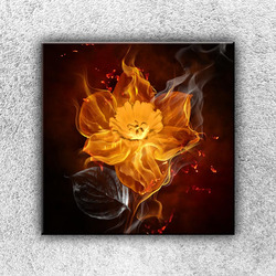 Foto na plátno Květ v ohni 50x50 cm