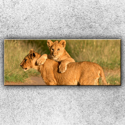 Foto na plátno Hrající si lvíčata 1 150x60 cm
