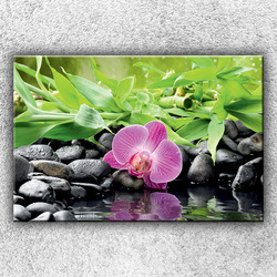 Foto na plátno Růžová orchidej 2 120x80 cm