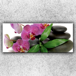 Foto na plátno Květy orchidejí 1 120x50 cm