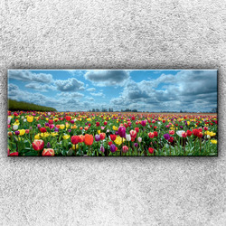 Foto na plátno Pole barevných tulipánů 2 120x50 cm