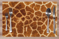 Prostírání Žirafí srst 42x28 cm