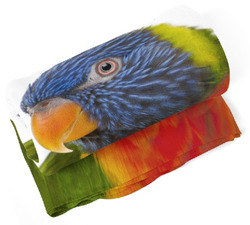 Deka Barevný papoušek