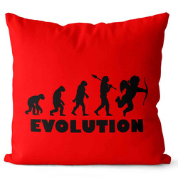 Polštářek Evolution láska